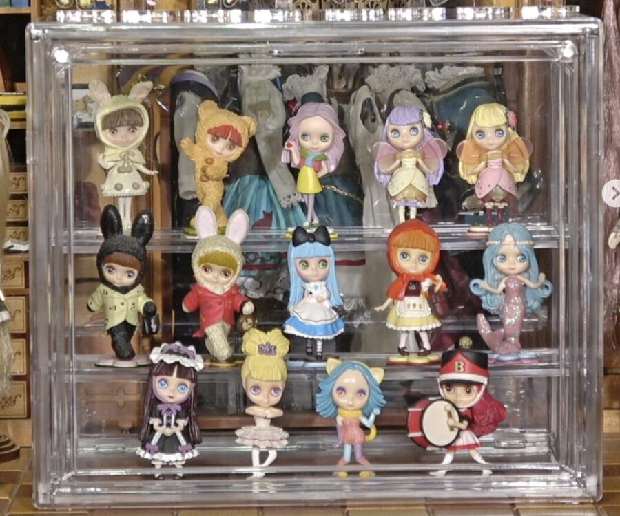 ねんどろいどケース